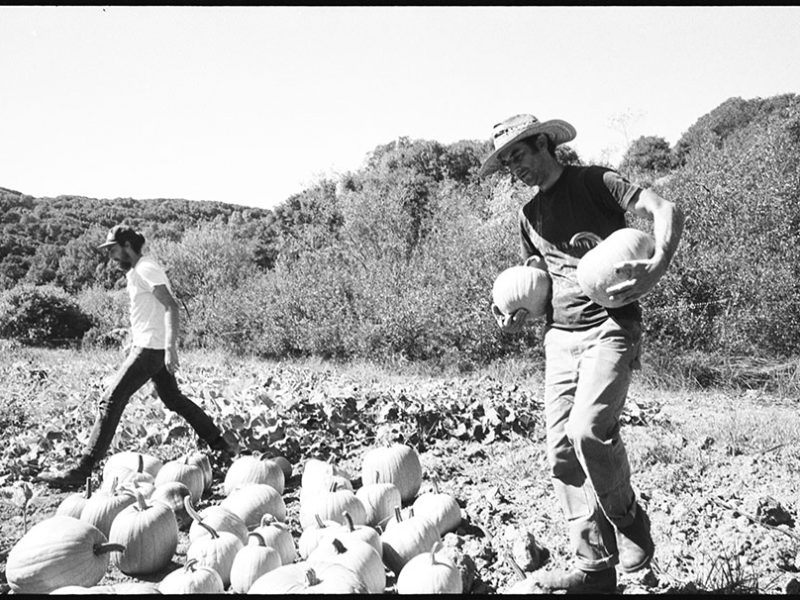 arron_wilder_black_mountain_ranch
