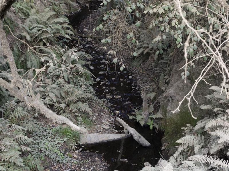 arroyo_hondo