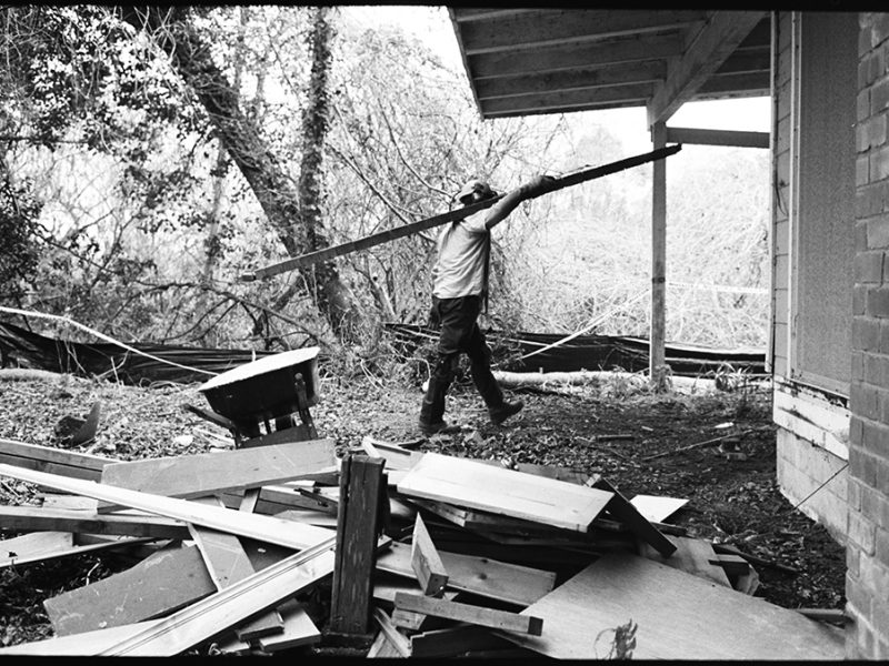 audubon_canyon_ranch_shields_marsh