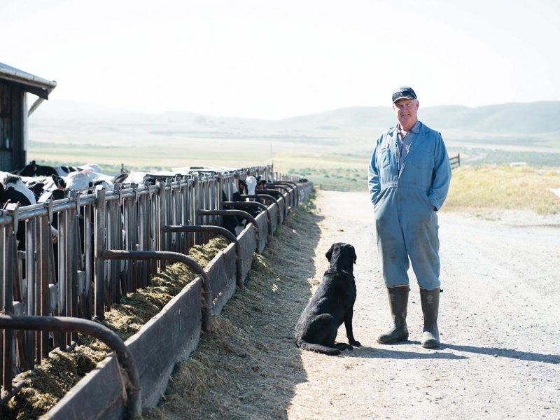 bob_mcclure_mcclure_dairy