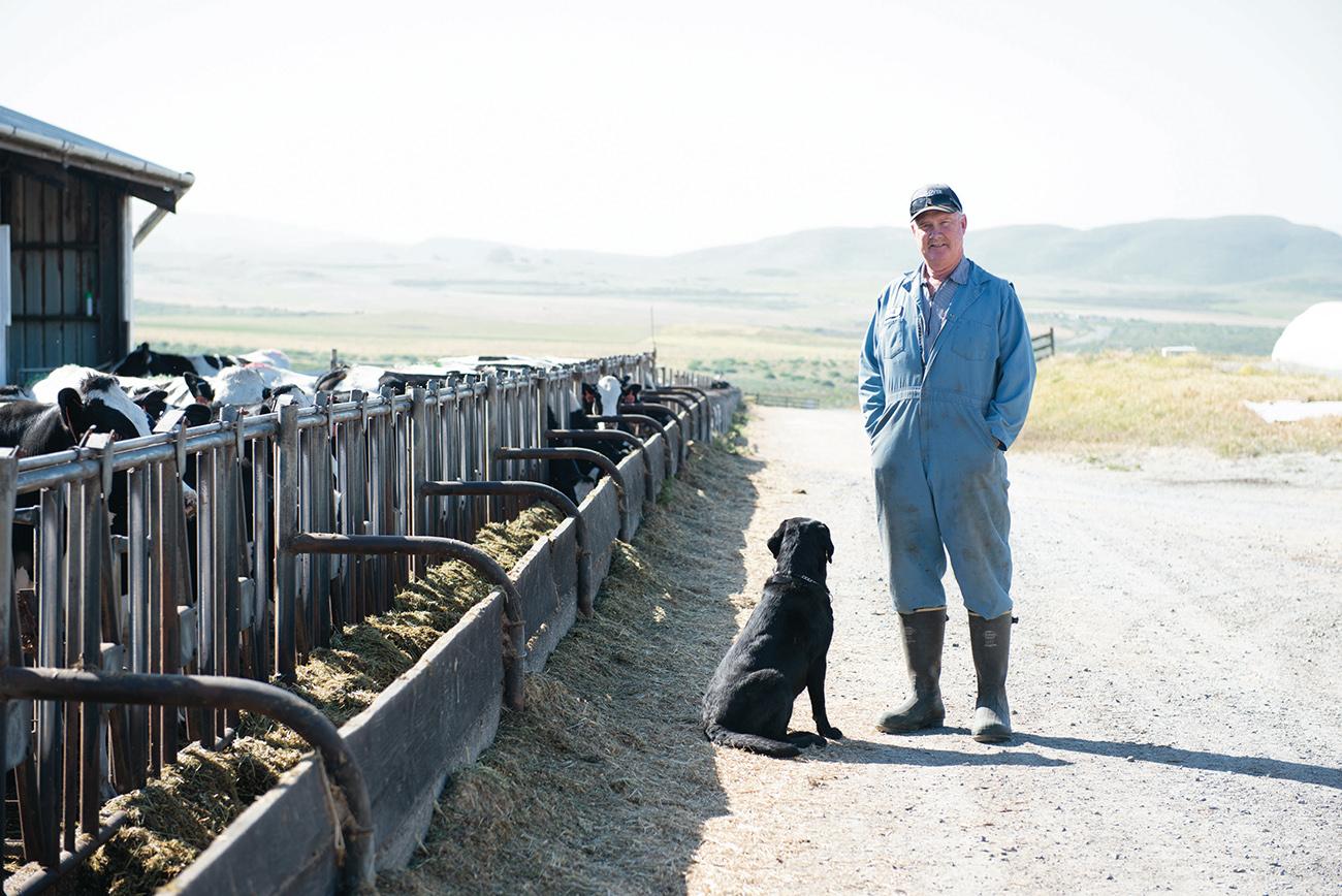McClure dairy shuts down Point Reyes Light