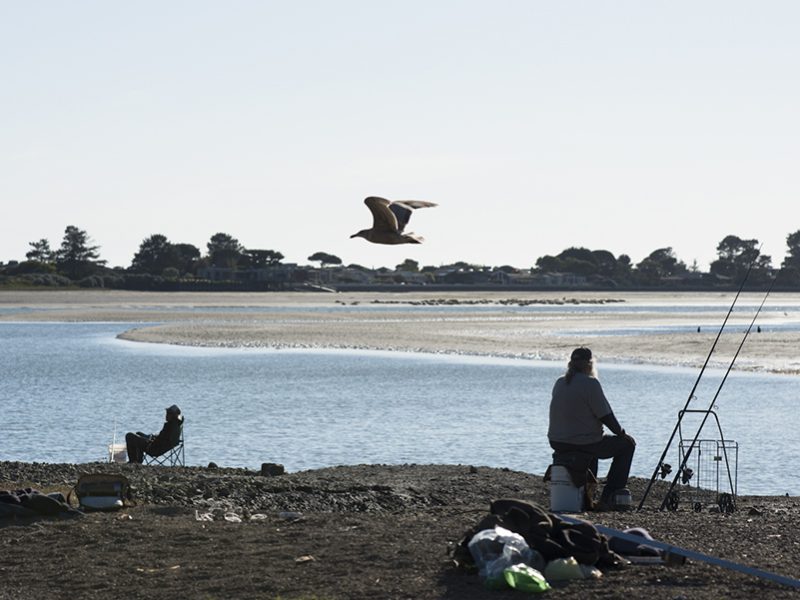 bolinas_lagoon