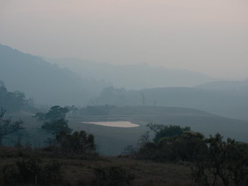 camp_fire_smoke