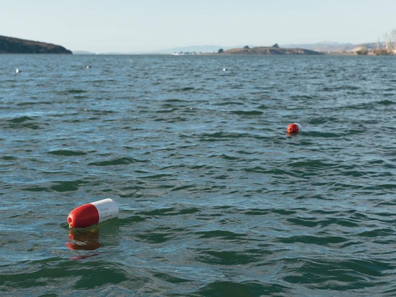 crab_pots_tomales_bay