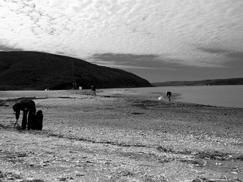 drakes_bay_cleanup
