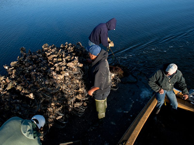 drakes_bay_oyster_company