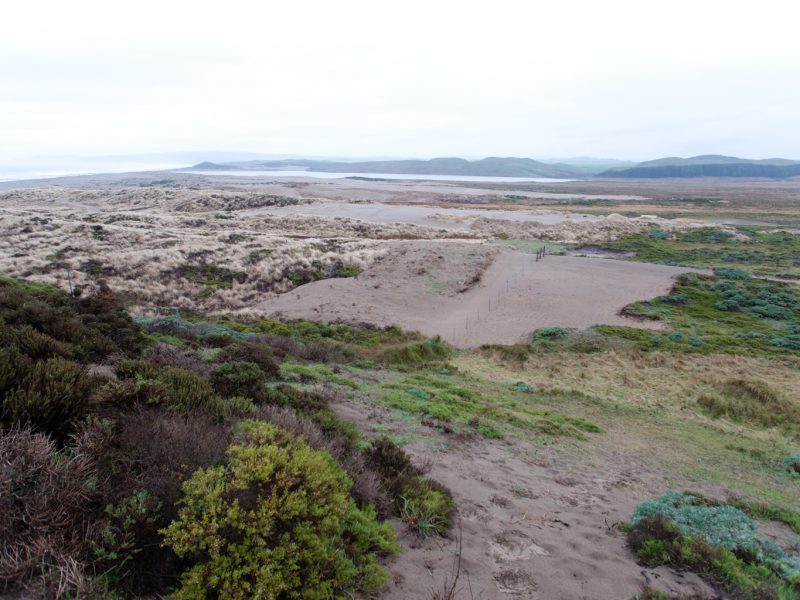 Dunes