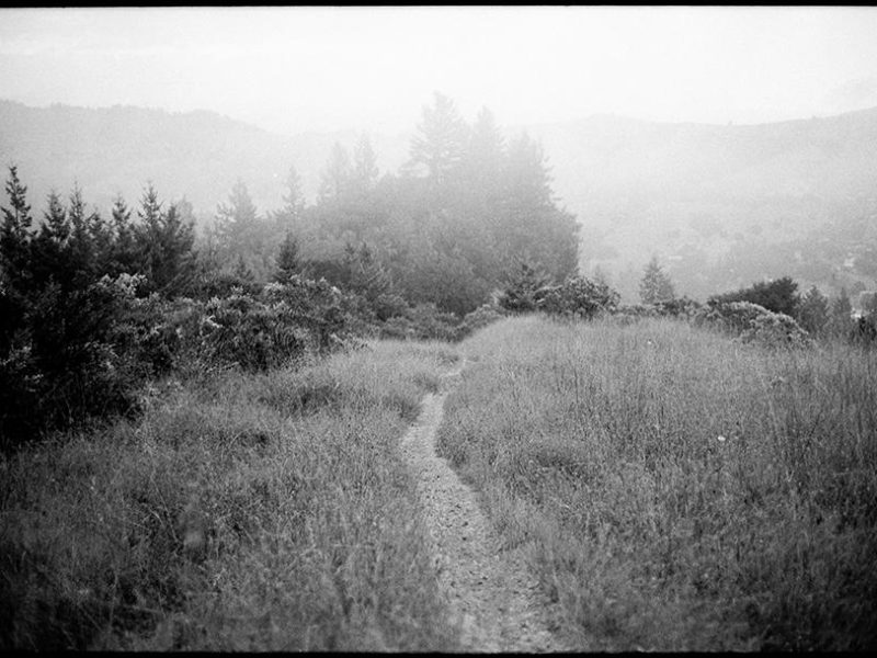 edgewood_trail