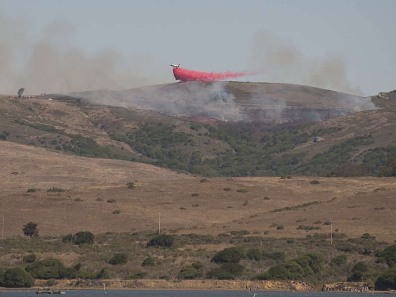 fire_marshall_west_marin