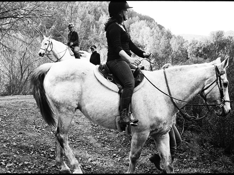 halleck_creek_ranch_flying_changes