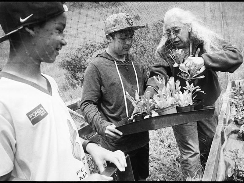 in_spirit_plant_sale