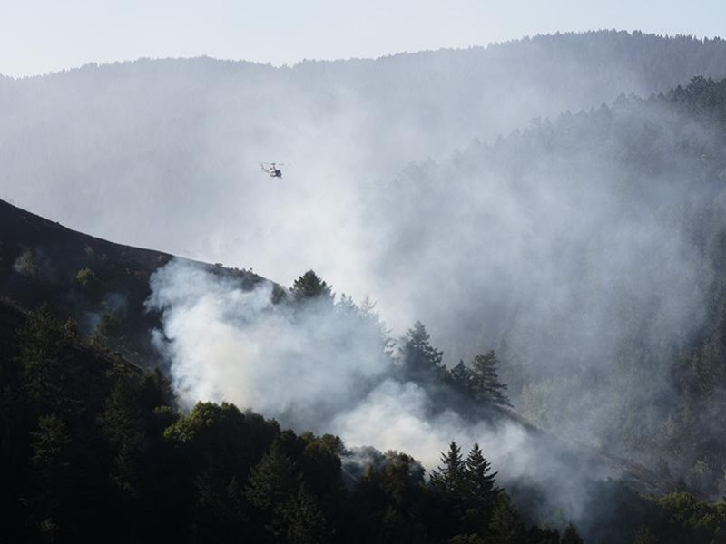 irving_fire_marin_county_mount_barnabe