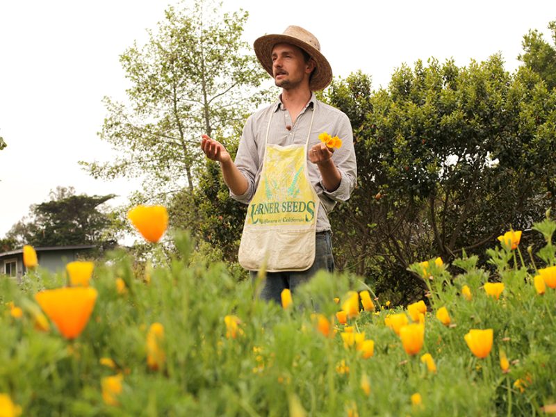 jeff_manson_larner_seeds