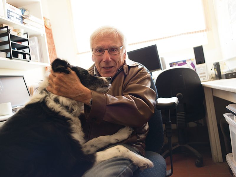jerry_bernstein_bclt_director
