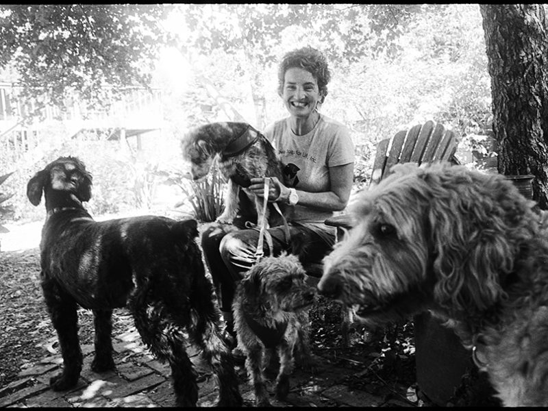 love_dogs_for_life