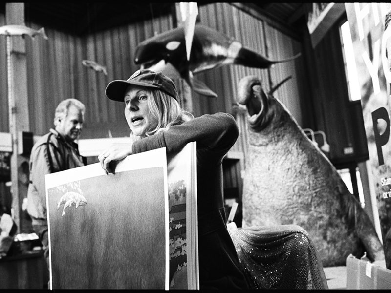 marta_lindsey_little_grays_great_migration_whale_book