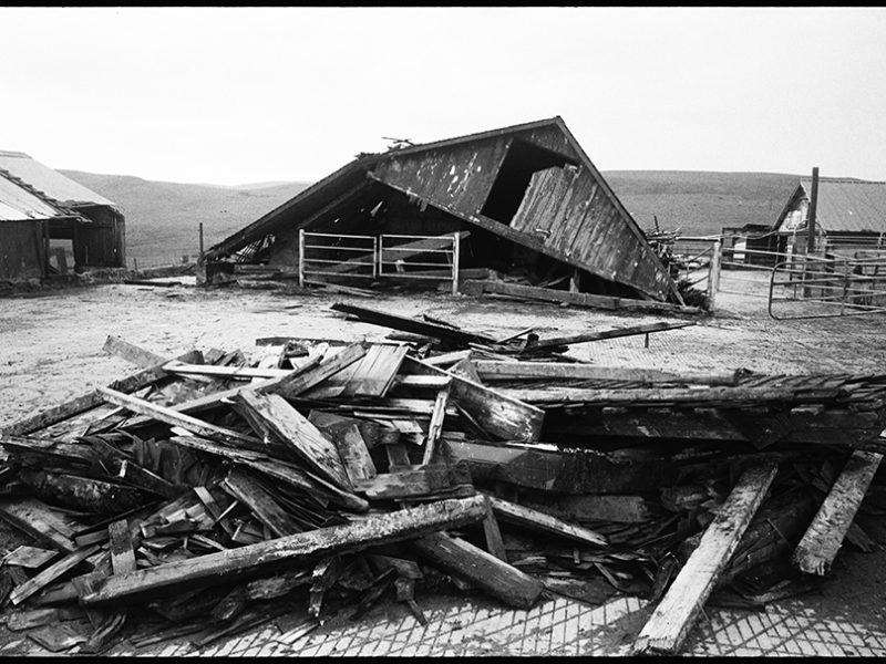 mendoza_barn_b_ranch_diary