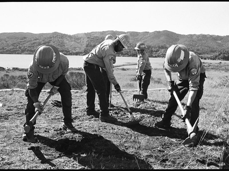 millerton_point_trail_restoration
