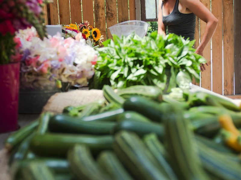 molly_meyerson_little_wing_farm