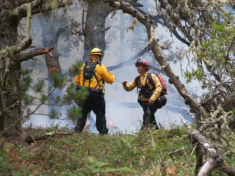 mount_vision_road_fire