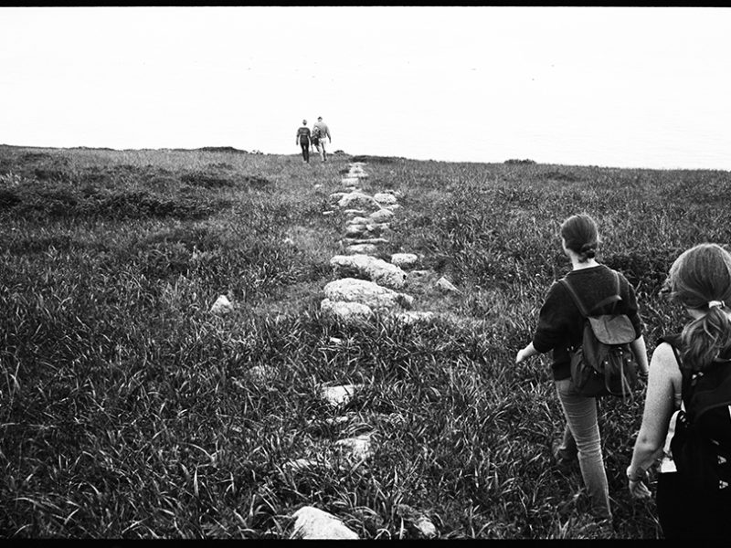 mysteryt_rock_line_tomale_point