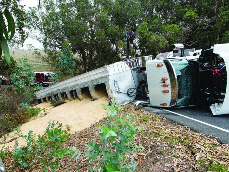 organic_barley_grain_spill