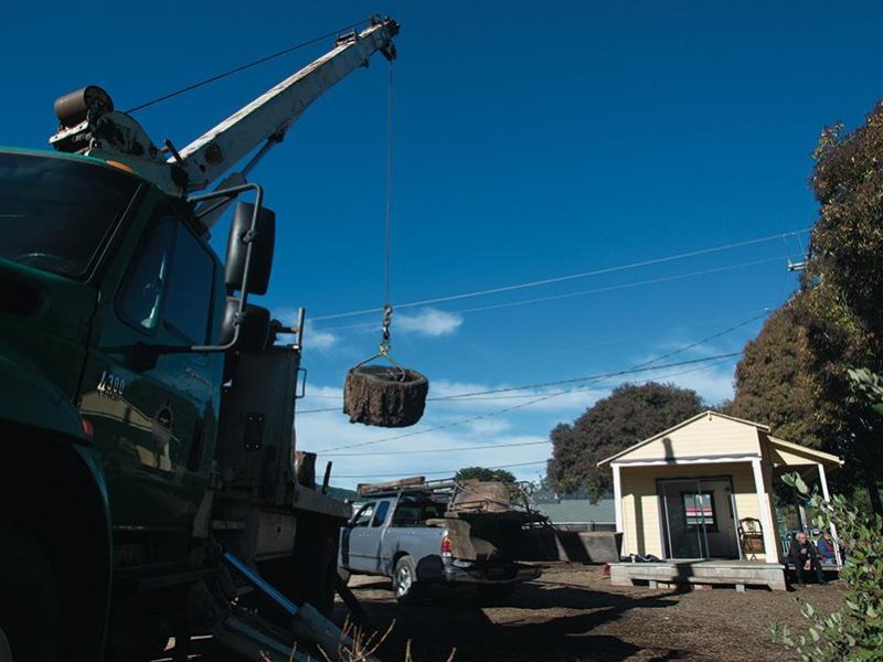 point_reyes_commons_