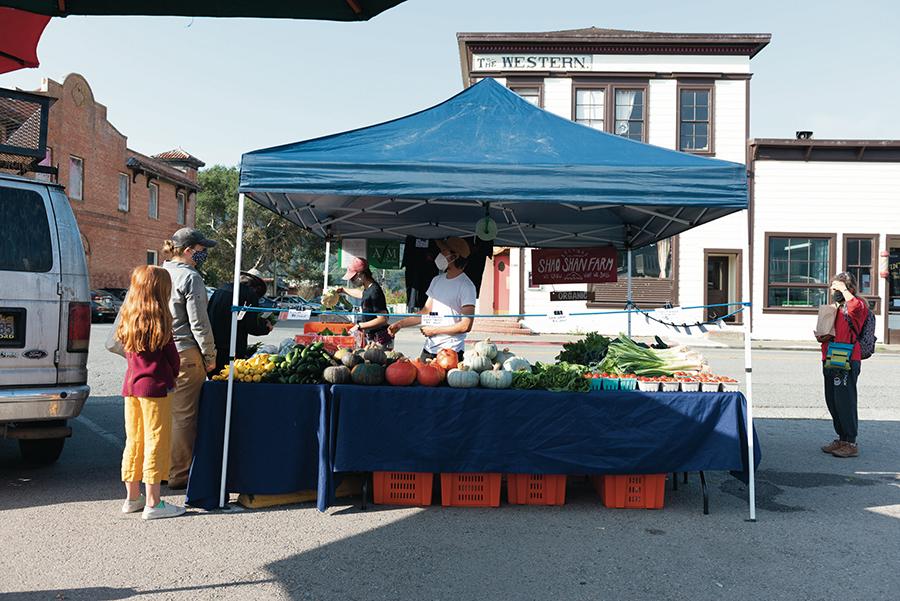 point_reyes_farmers_market