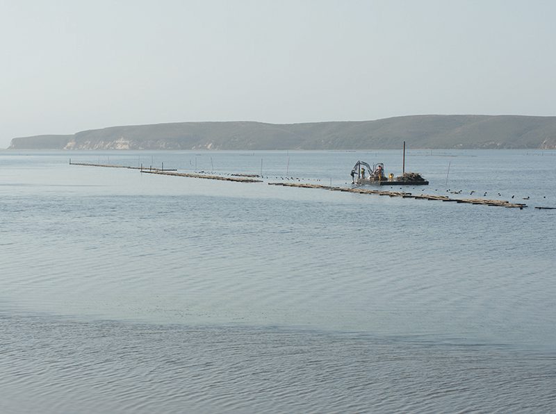 rack_removal_drakes_bay_point_reyes