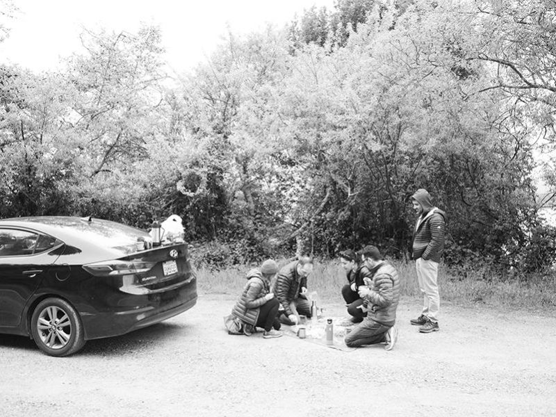 roadside_picnic