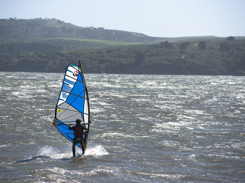 spring_winds