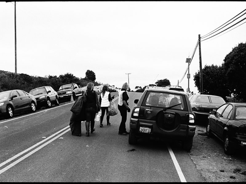 tomales_bay_oyster_company