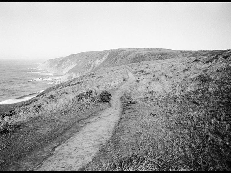 tomales_point_trail