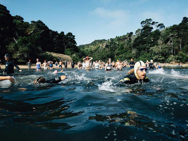 transbay_swim