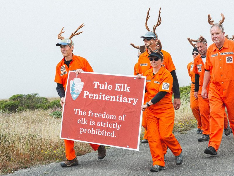 tule_elk_protest_sadler-0898-2