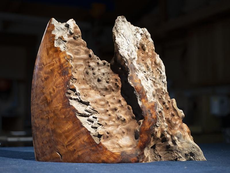 visions_of_wood