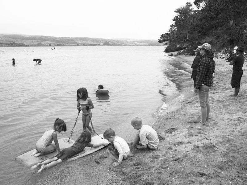 waterdogs
