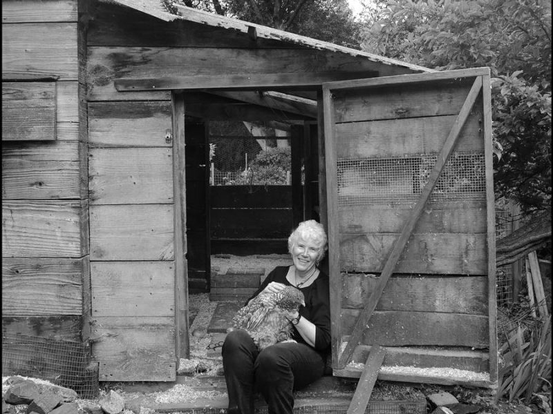 webcart_rogers_family_album_deb_quinn_the_chicken_lady_of_inverness_11