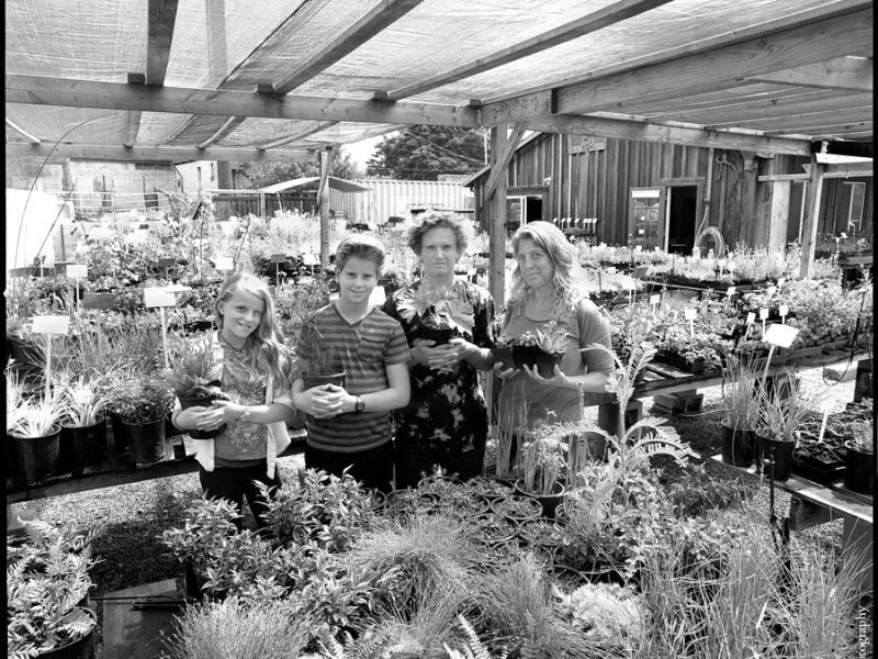webcart_rogers_family_album_mostly_natives_nursery_darlene_johnson_2