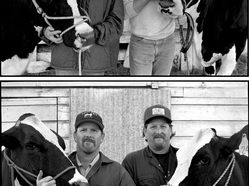 webcart_rogers_family_album_yt_kehoe_twins_6