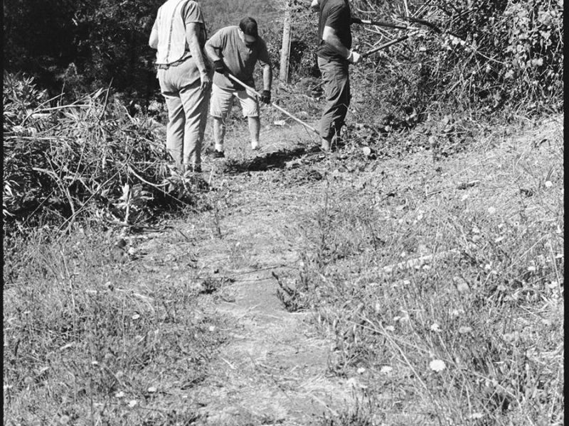 west_marin_school_path_clearing