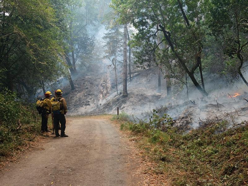 woodward_fire_bear_valley