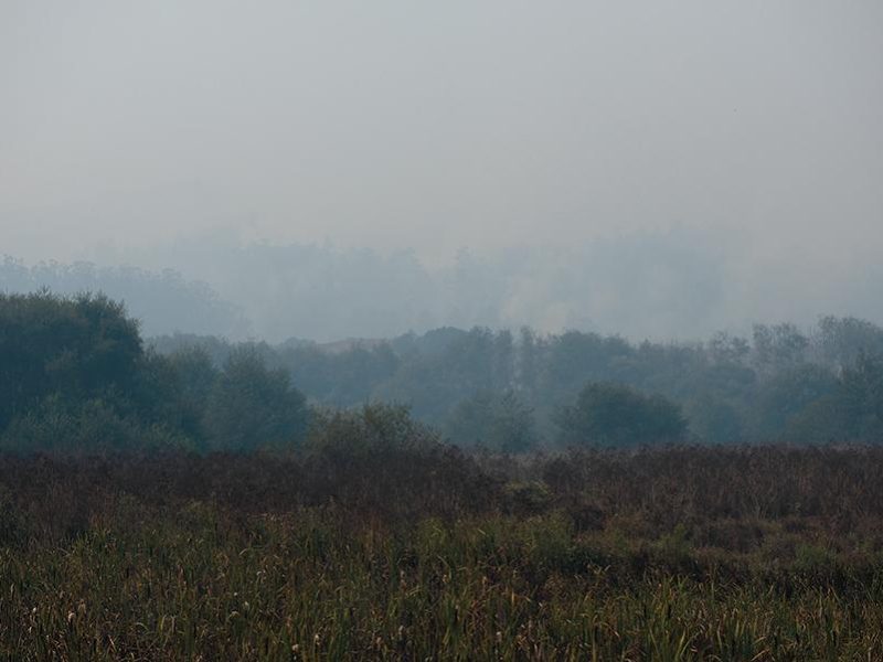 woodward_fire_smoke