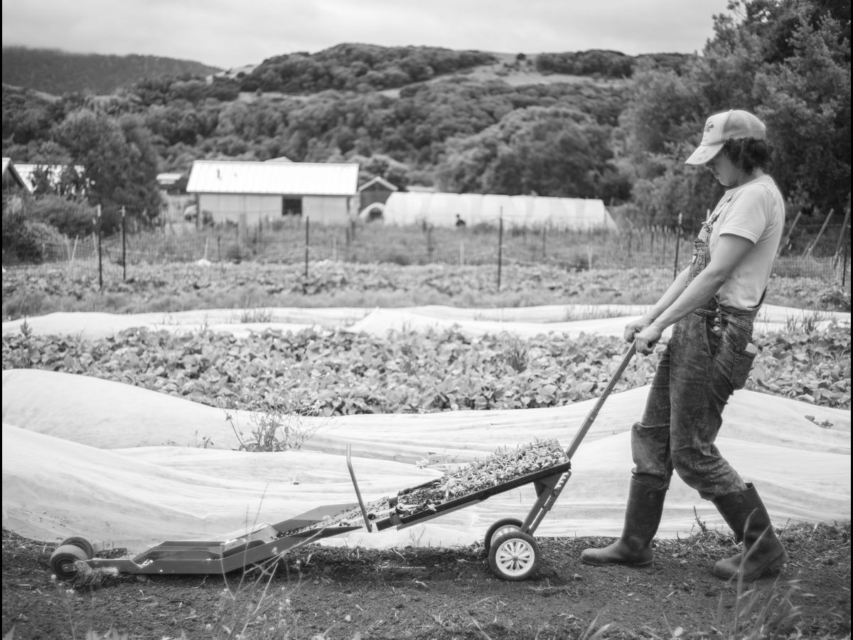 Little Wing Farm will lose land and stand