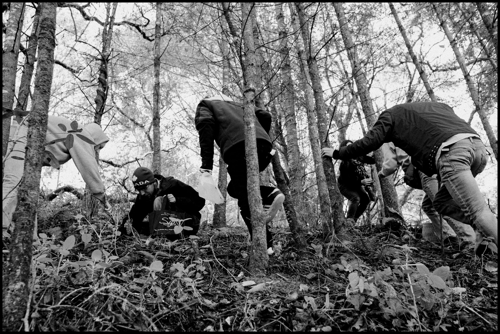 Big winter for fungi and its fatal effects
