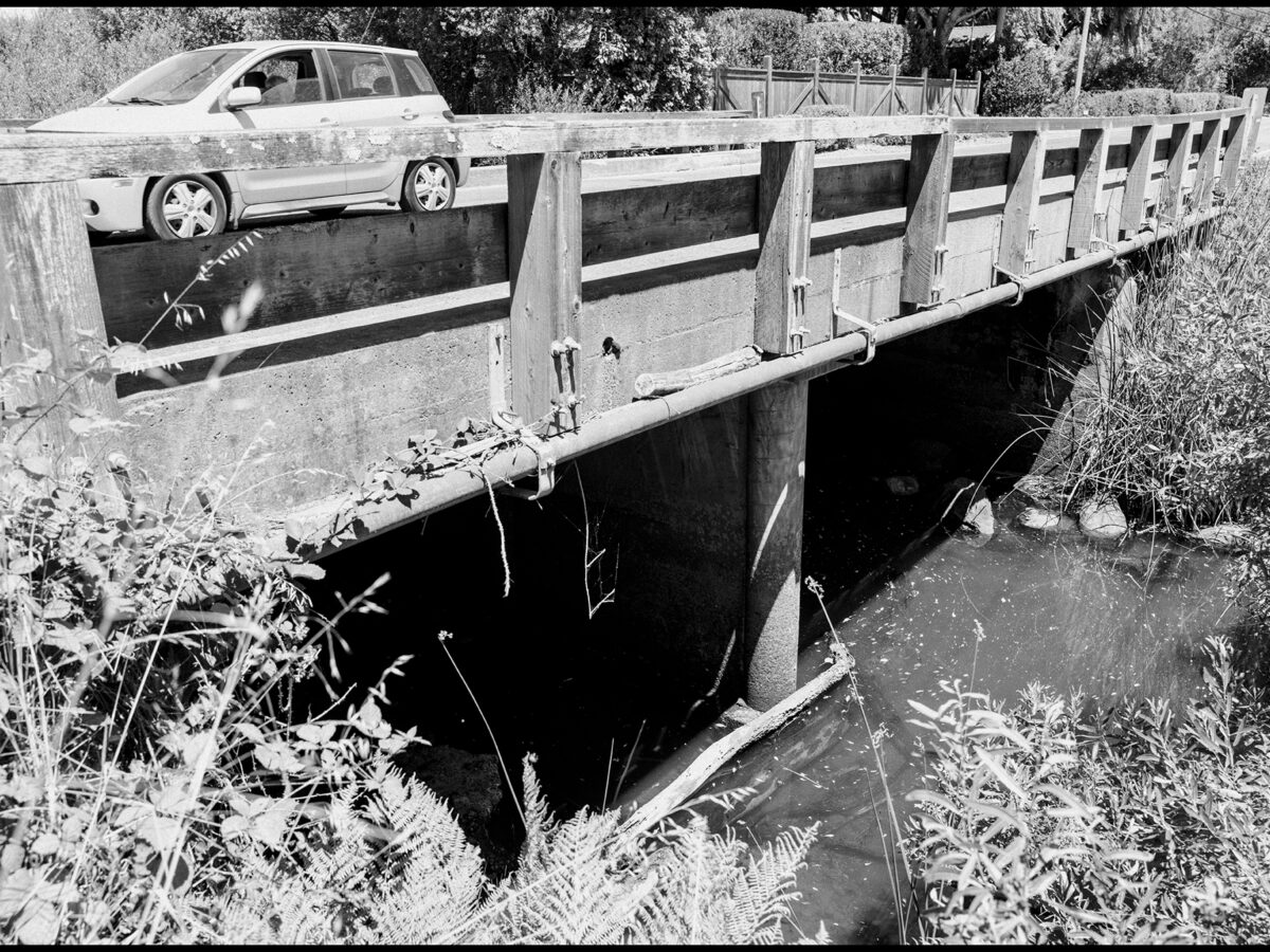 Levee Road bridge plan faces protest