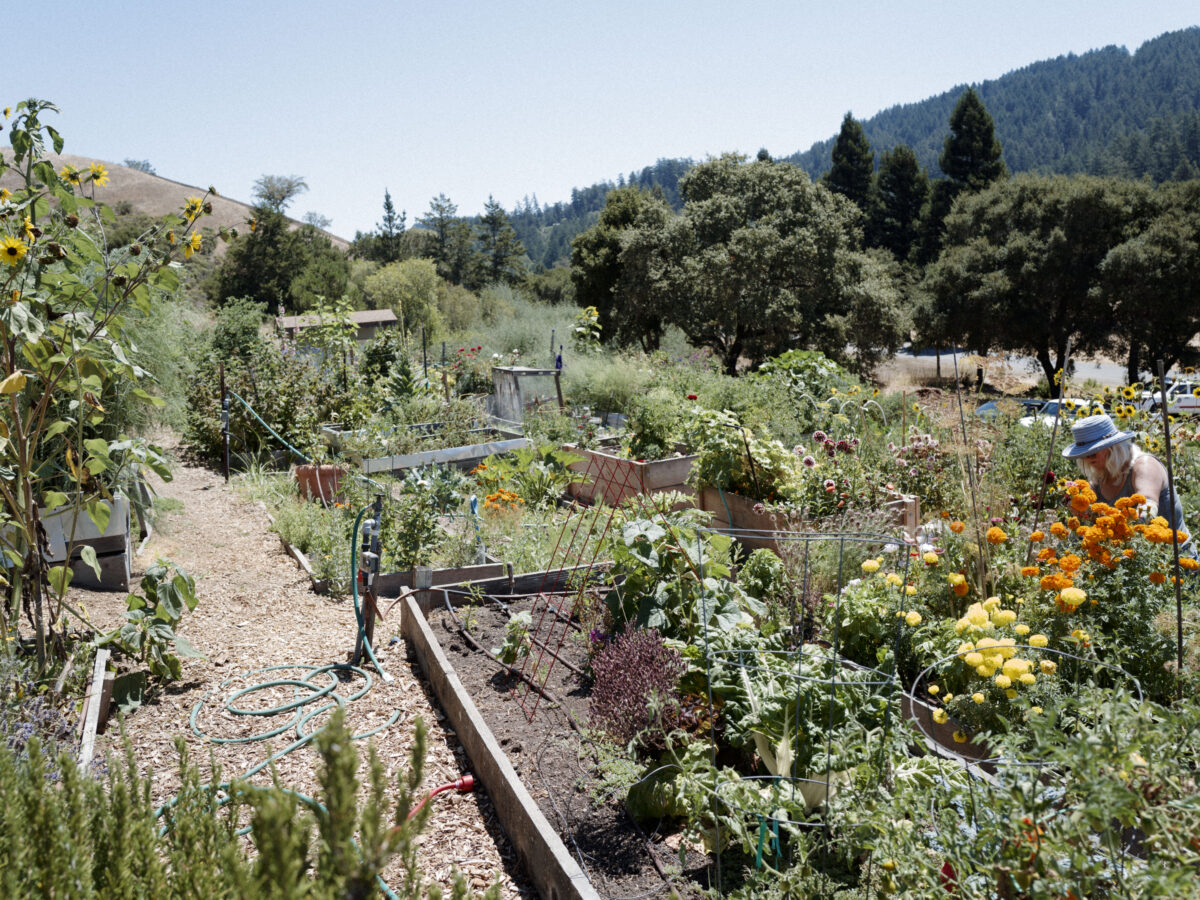 Valley garden celebrates 15, looks to future